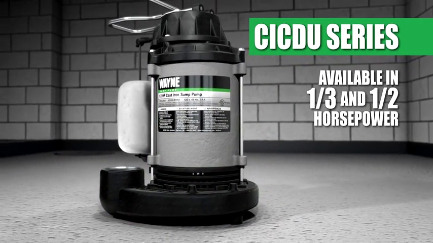 Wayne CDU980E 3/4 HP submersible sump pump with cast iron and stainless steel construction
